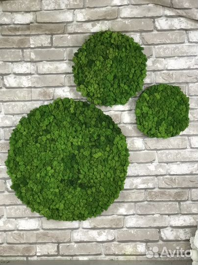 Картина круглая 40 см из стабилизированного мха