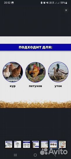 Конус для забоя птицы