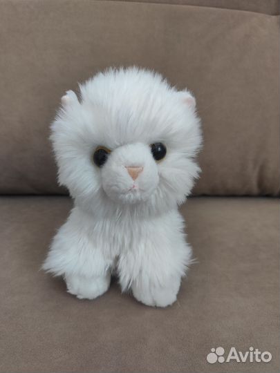 Белая кошечка Aurora