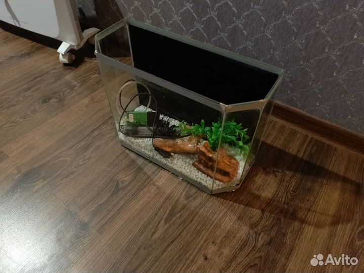 Аквариум 20 литров