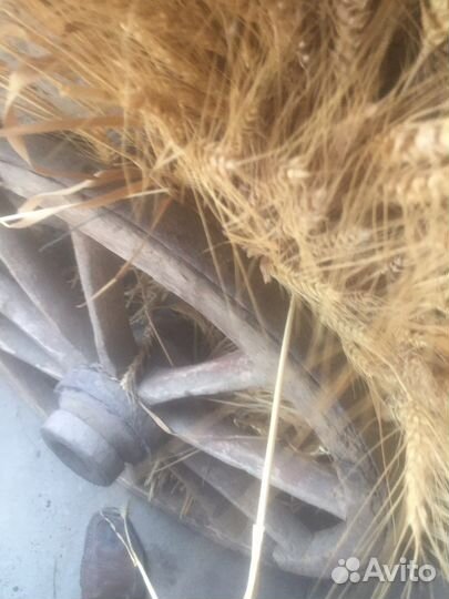 Колесо от телеги деревянное