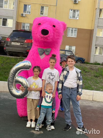 Розовый мишка гигант 2,6 Метра Поздравления