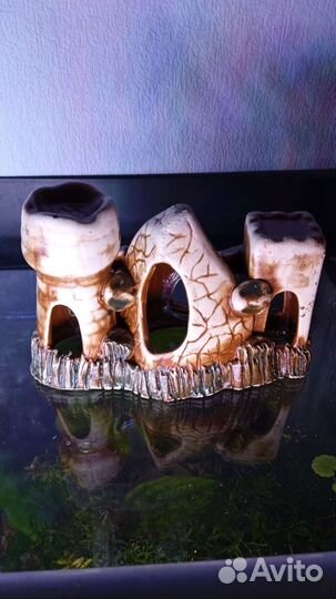 Аквариум, фильтры, грот и др