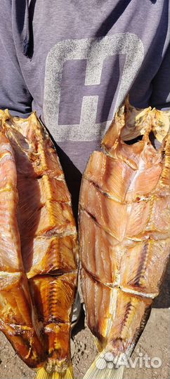 Рыба холодного копчения