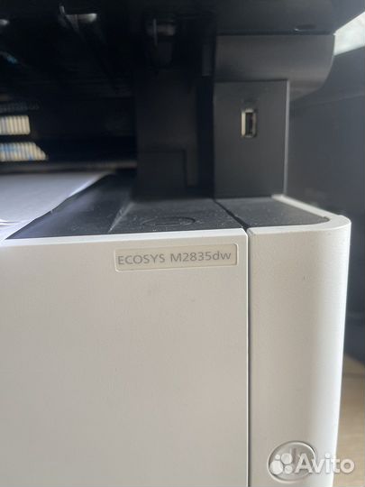 Принтер сканер kyocera brother