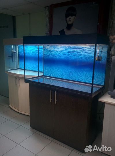 Аквариум 220 свет биофильтр тумба, фон