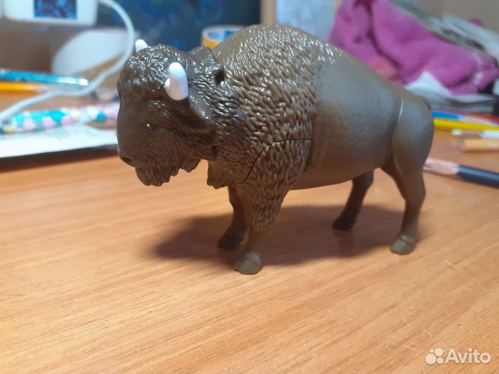 Kinder natoons 2023 maxi и natoons 2024