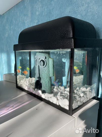 Аквариум 5 литров