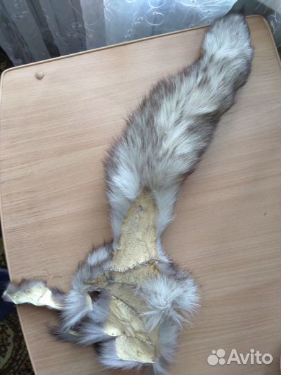 Мех песца, хвост