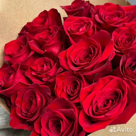 Букет из 15 красных роз Фридом 50см