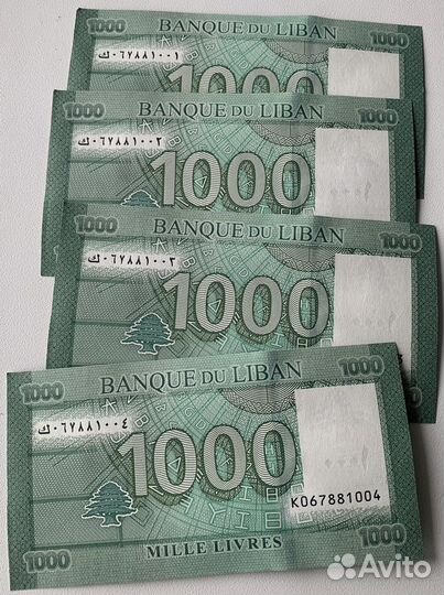Продаю пачку банкнот Ливана 1000 ливров