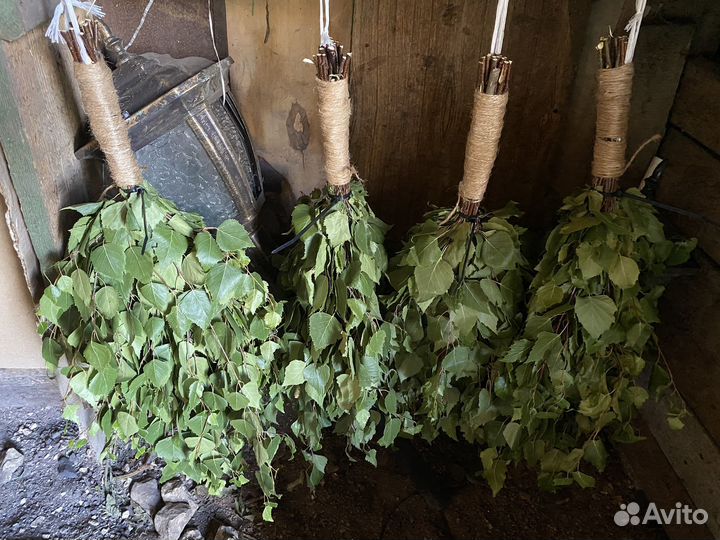 Березовый веник