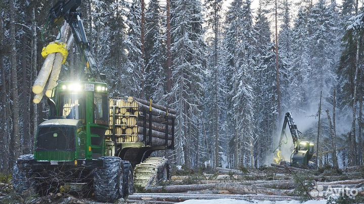 Услуги по лесозаготовке