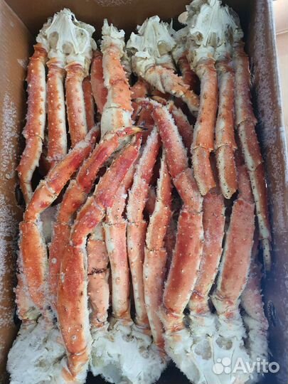 Конечности камчатского краба оптом и в розницу