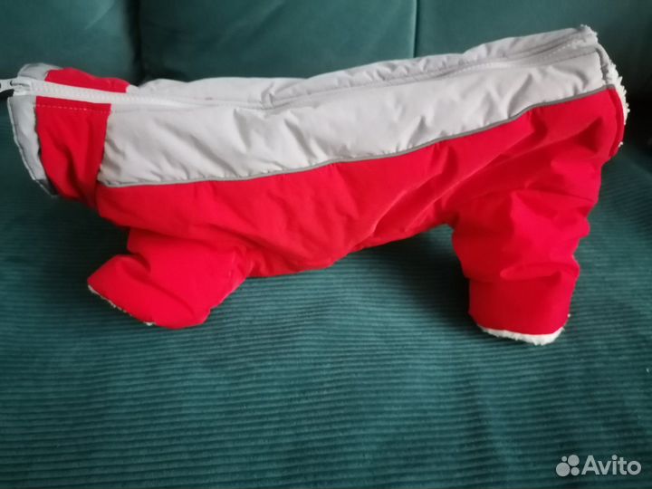 Новый зимний комбинезон для собак