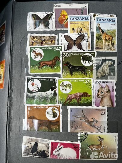 Коллекция почтовых марок