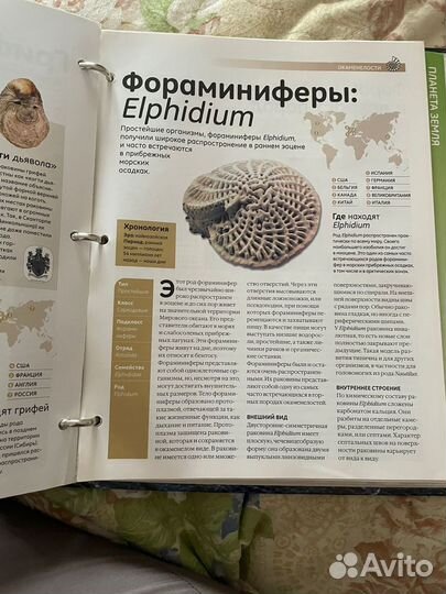 Энциклопедия Минералы Сокровища Земли