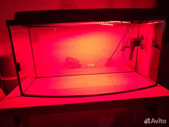 Террариум + оборудование