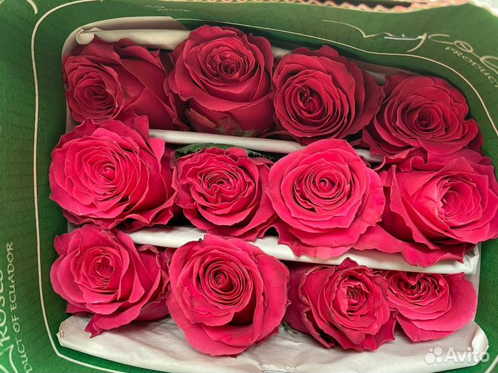 Розы,Хризантемы оптом