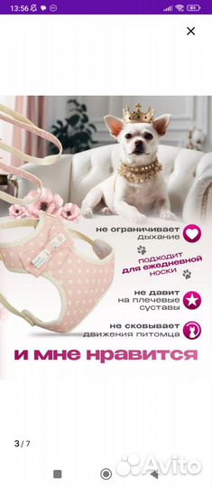 Шлейка с поводком для маленьких