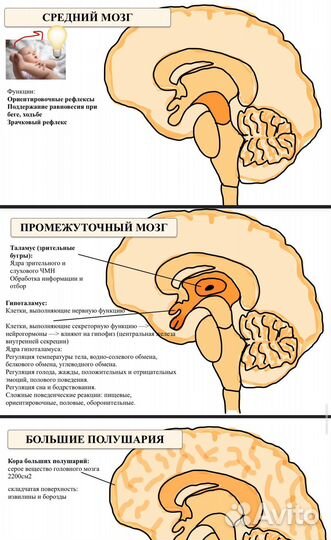 Репетитор по химии и биологии