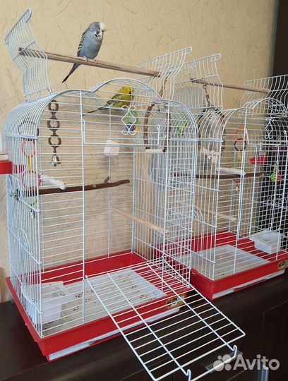 Клетка для птиц. Новая