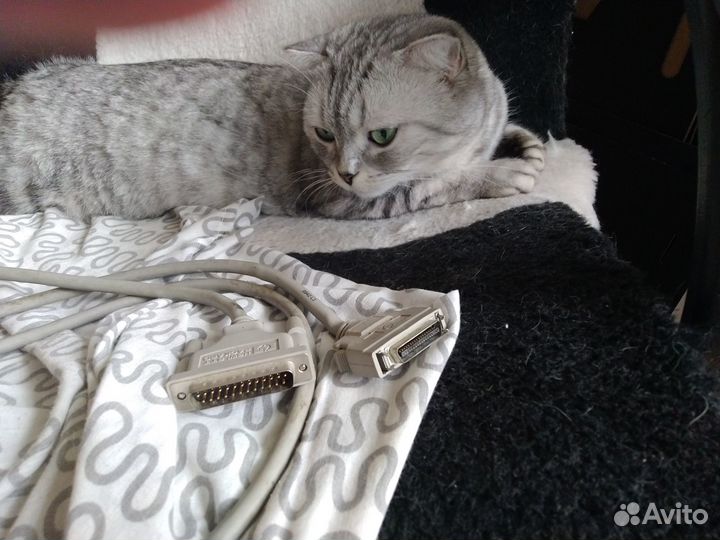 Лазерный принтер HP laserjet 1100 C4224A