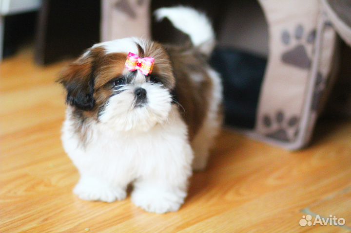 Очаровашки детки