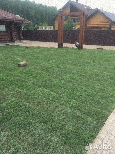 Рулонный газон/продажа/укладка