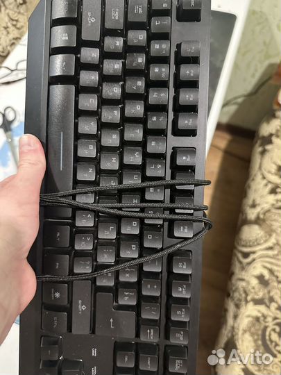 Две мышки и клавиатура