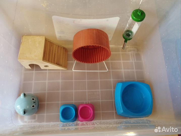 Готовый дом контейнер для хомяка джунгарика