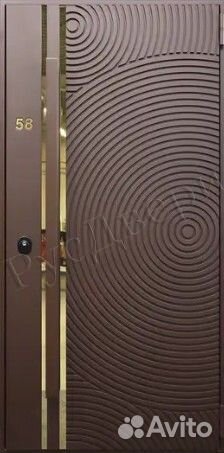 Входная дверь с биометрическим замком для дома