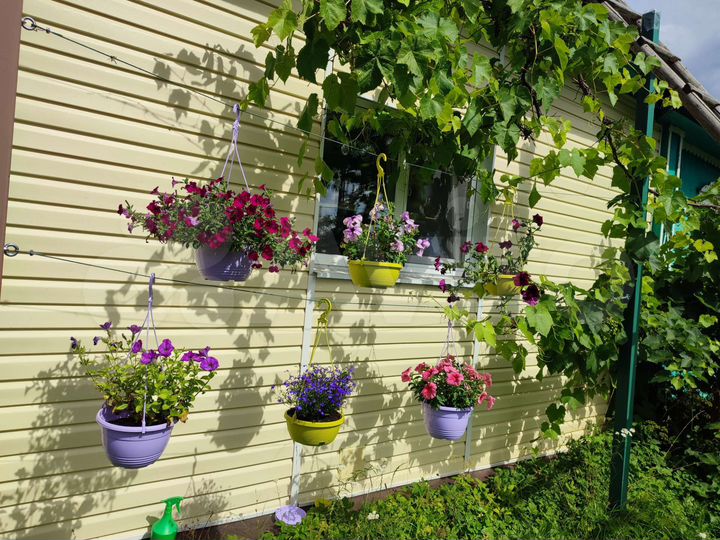 Дом 75 м² на участке 50 сот.