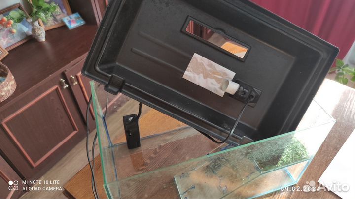 Черепашатник