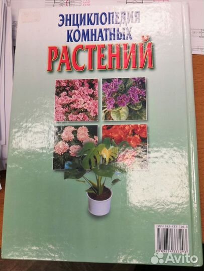 Энциклопедия комнатных растений