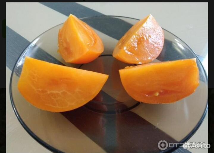 Рассада помидор, излишки