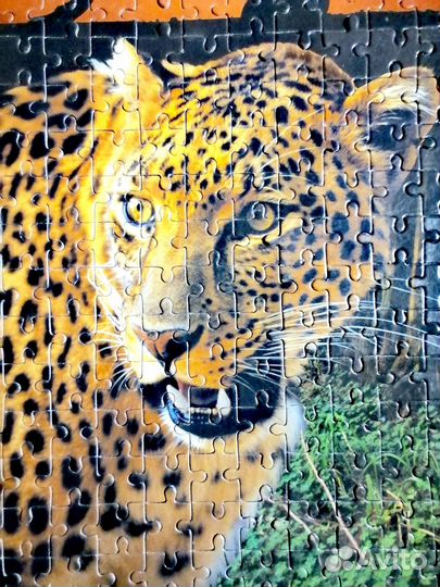 Картина пазл гепард