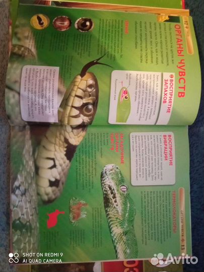 Книги познавательные