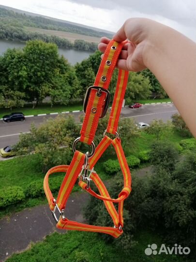 Недоуздок для пони