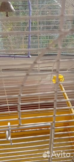 Клетка для попугая