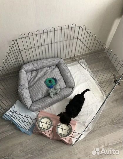 Металлическа клетка для котов/собак и другой живн