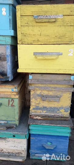 Улей для пчел бу