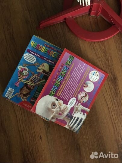 Конструктор скелет человека