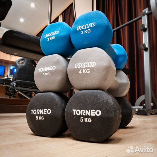 Скамья для жима, гантели, штанга, блины Torneo