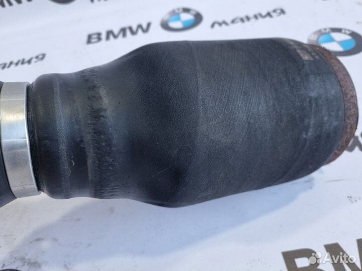 Пневмобаллон задний правый Bmw X5 E53 рест M57D30