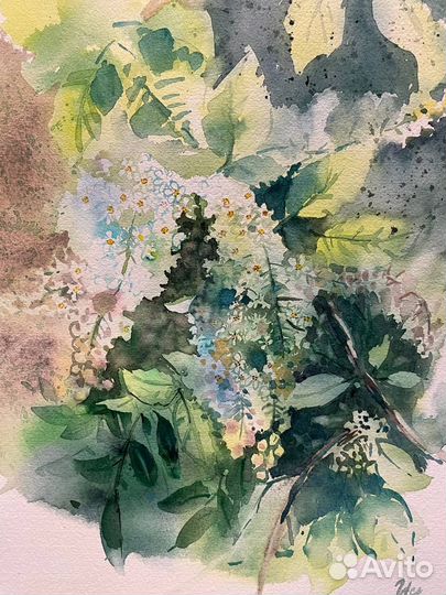 Рисунок акварелью