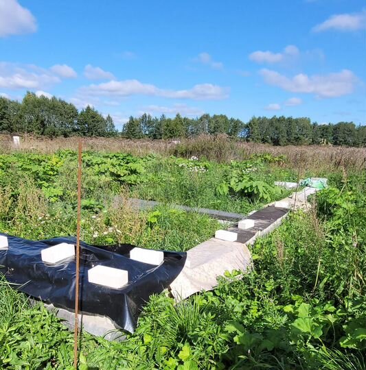 Участок 43 сот. (ИЖС)