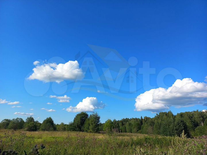 Участок 12 сот. (СНТ, ДНП)