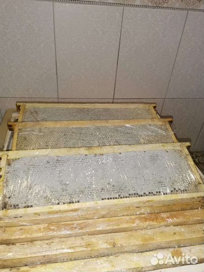 Сотовый мед