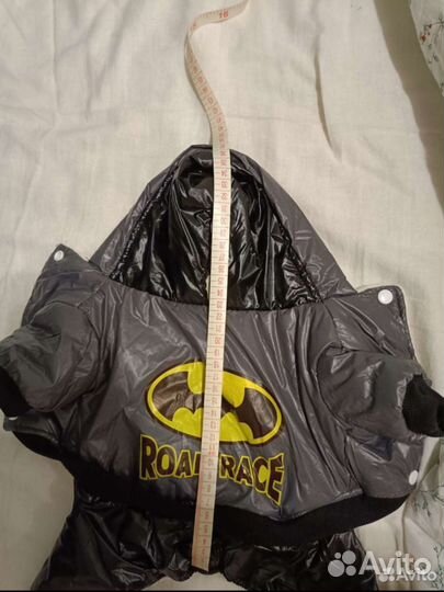 Одежда для собак мелких пород